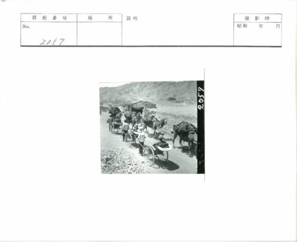 驼队穿越山间古道.jpg