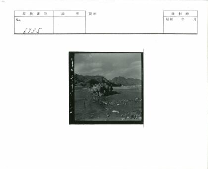 骆驼群山地湖畔.jpg