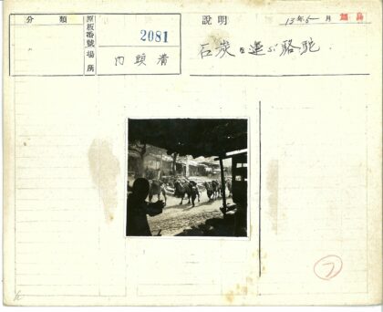 骆驼队穿过村庄石屋街影.jpg