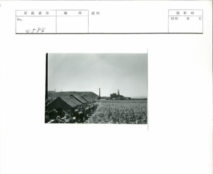 骑兵穿越玉米村庄与工业烟囱.jpg