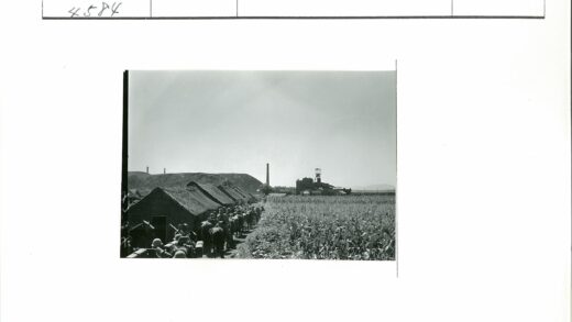 骑兵穿越玉米村庄与工业烟囱.jpg