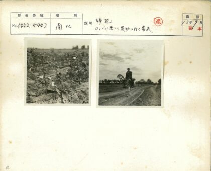 骑马人云天下树屋土路.jpg