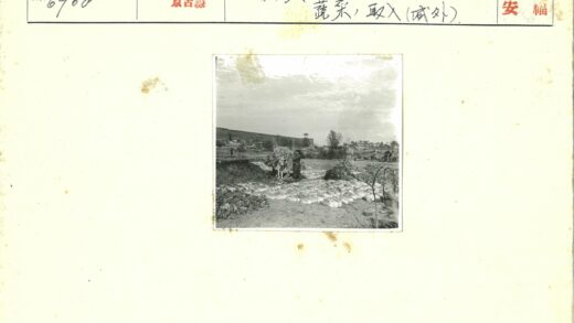 骑驴穿越田野与门塔.jpg