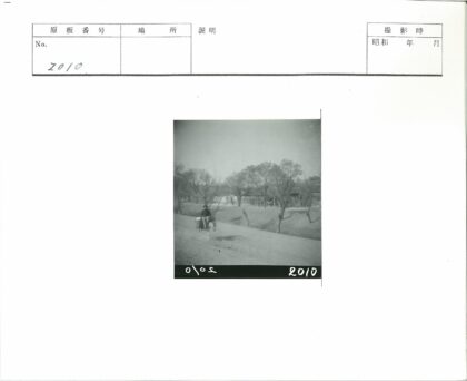 骑驴行于林间土路.jpg