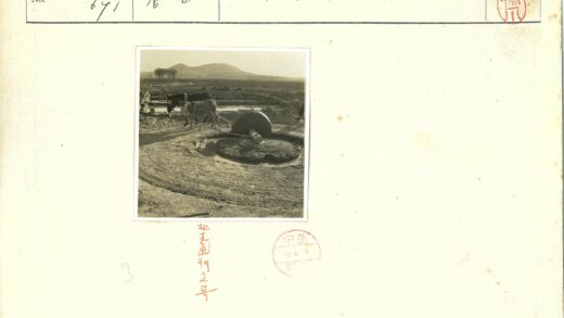 骡子拉磨石.jpg