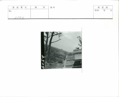 高处俯瞰多层建筑与树林景观.jpg