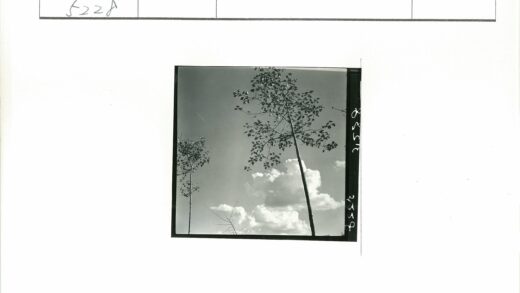 高树云天老照片.jpg
