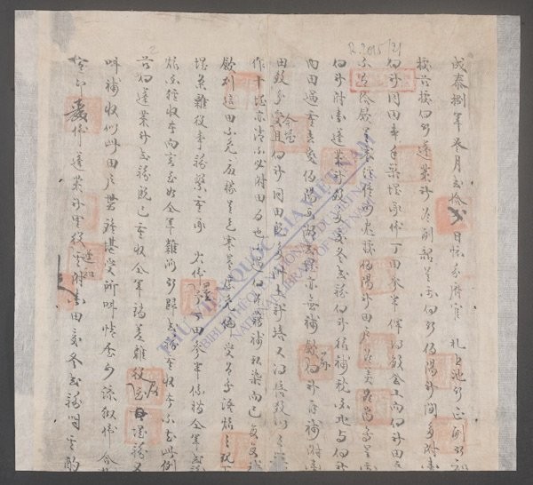 高舍社中村(q.-)-