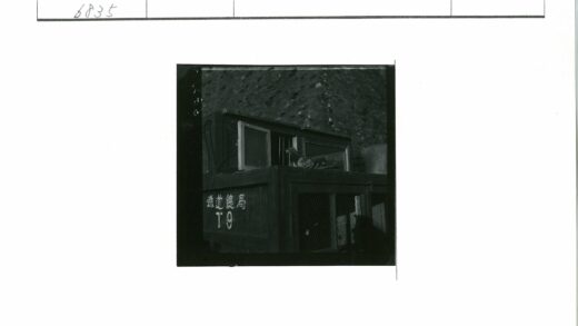 鸽子栖木窗格石墙背景.jpg