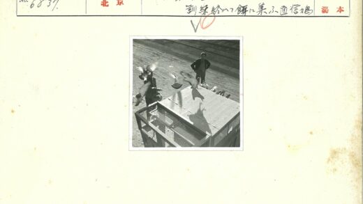 鸽子飞越铁路旁的建筑与人.jpg