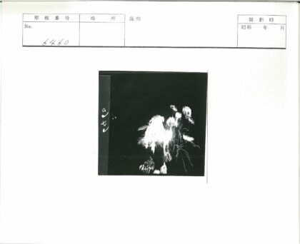 黑白条纹手写文字背景图.jpg