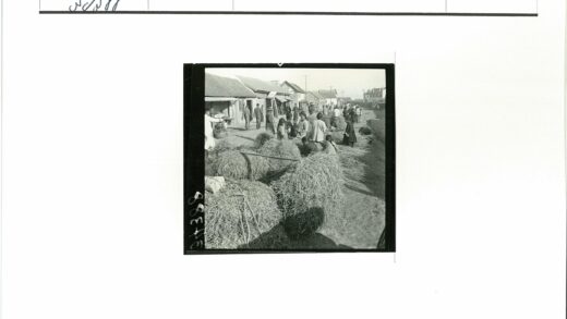 19世纪街道干草搬运场景.jpg