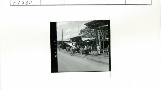 19世纪街道生活与商店景观.jpg