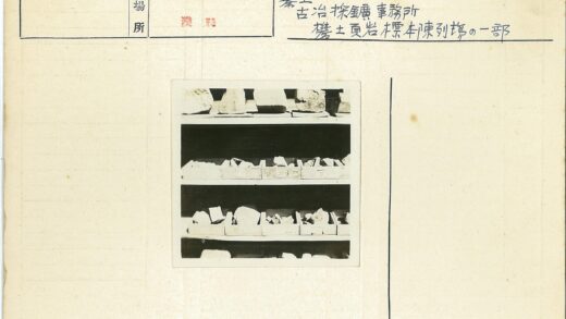 三个架子上的石头标本展示.jpg