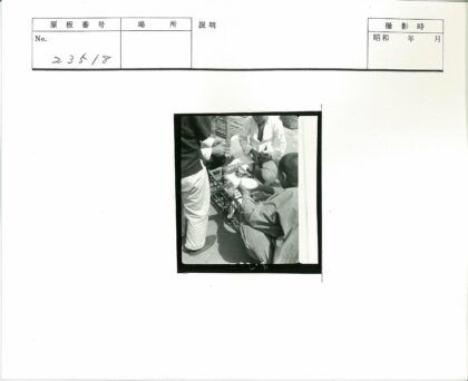 三人围观白色小鸟板条箱.jpg