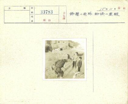 三人户外编织芦苇劳作.jpg
