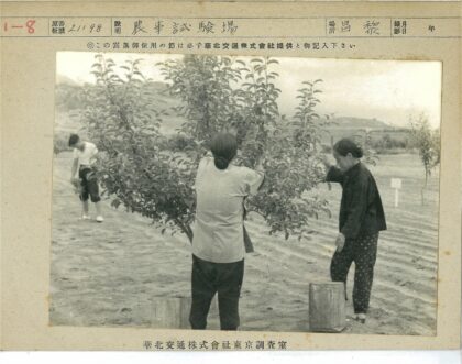 三人田野护树山景.jpg