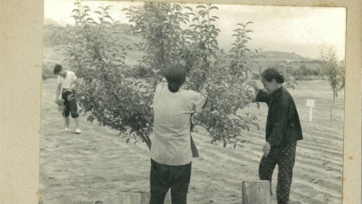 三人田野护树山景.jpg