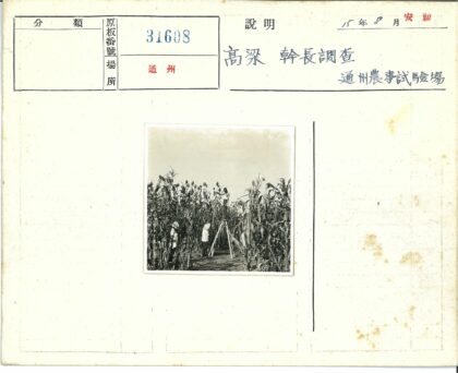 三人田间检查庄稼.jpg