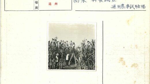 三人田间检查庄稼.jpg