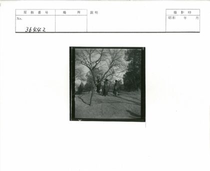 三人站在冬日公园枯树旁.jpg