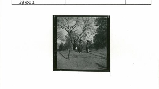 三人站在冬日公园枯树旁.jpg