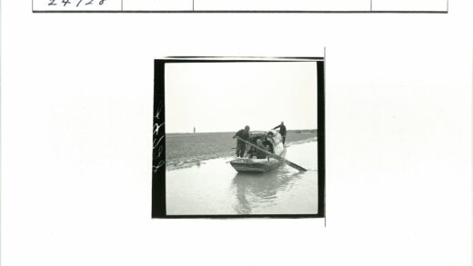 三人船行犁田浅水畔.jpg