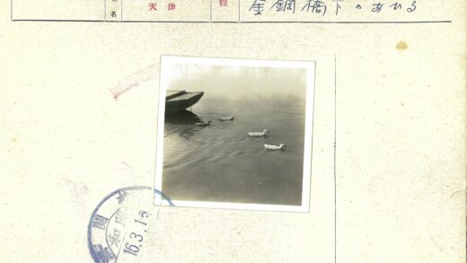 三只鸭子游向木船.jpg