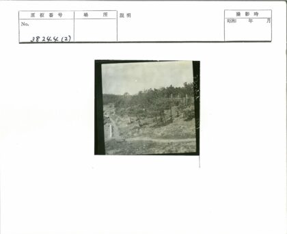 丘陵小径与栅栏风景.jpg