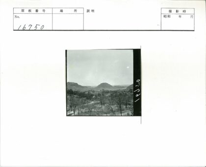丘陵小路蜿蜒树林风光.jpg