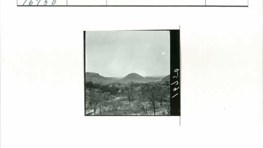 丘陵小路蜿蜒树林风光.jpg