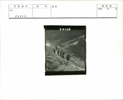 丘陵小路阳光长影.jpg