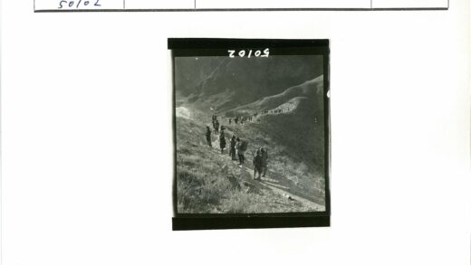 丘陵小路阳光长影.jpg
