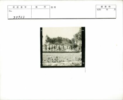 丘陵山脚树木田野风光.jpg