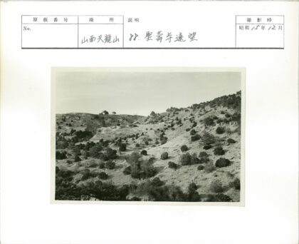 丘陵灌木远眺建筑景观.jpg