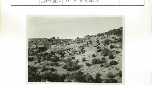 丘陵灌木远眺建筑景观.jpg