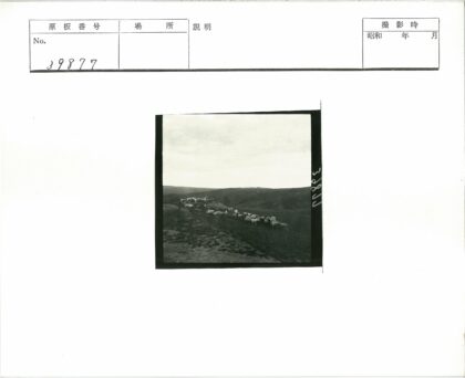 丘陵羊群吃草多云天空.jpg