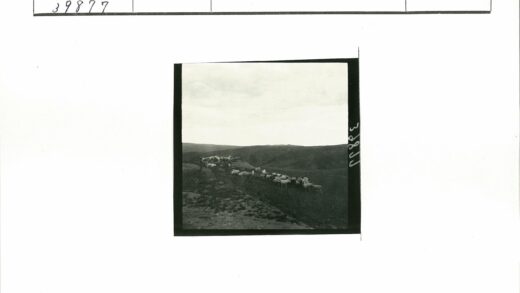 丘陵羊群吃草多云天空.jpg