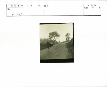 丛林土路行人穿越.jpg