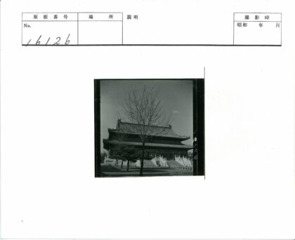 东亚传统建筑复杂屋顶晴天景观.jpg
