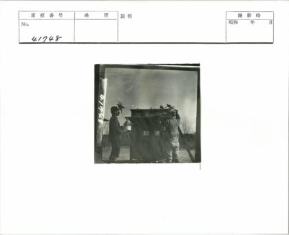 两人与建筑鸟群互动.jpg