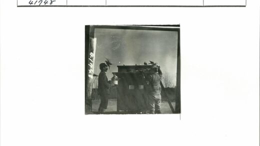 两人与建筑鸟群互动.jpg