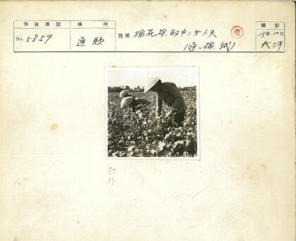 两人戴圆锥帽晴天种草.jpg