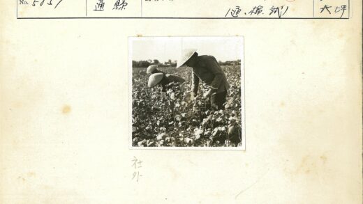 两人戴圆锥帽晴天种草.jpg