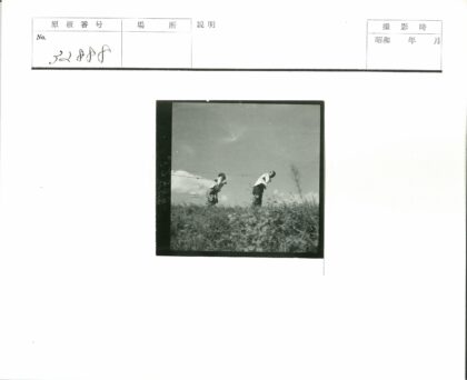 两人持电线漫步草山.jpg