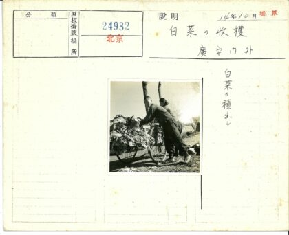 两人推蔬菜车树林晴天.jpg