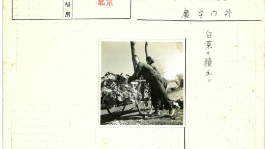 两人推蔬菜车树林晴天.jpg