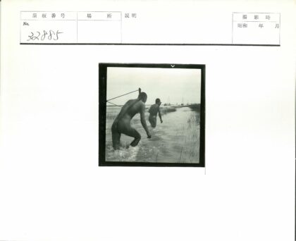 两人携草涉水走向船队.jpg