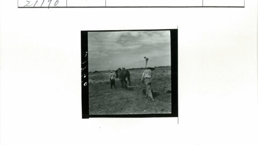 两人牵马犁地田野风光.jpg