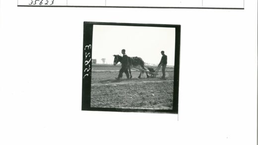 两人牵骡犁地远山建筑.jpg